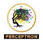 Perceptron Perceptron
