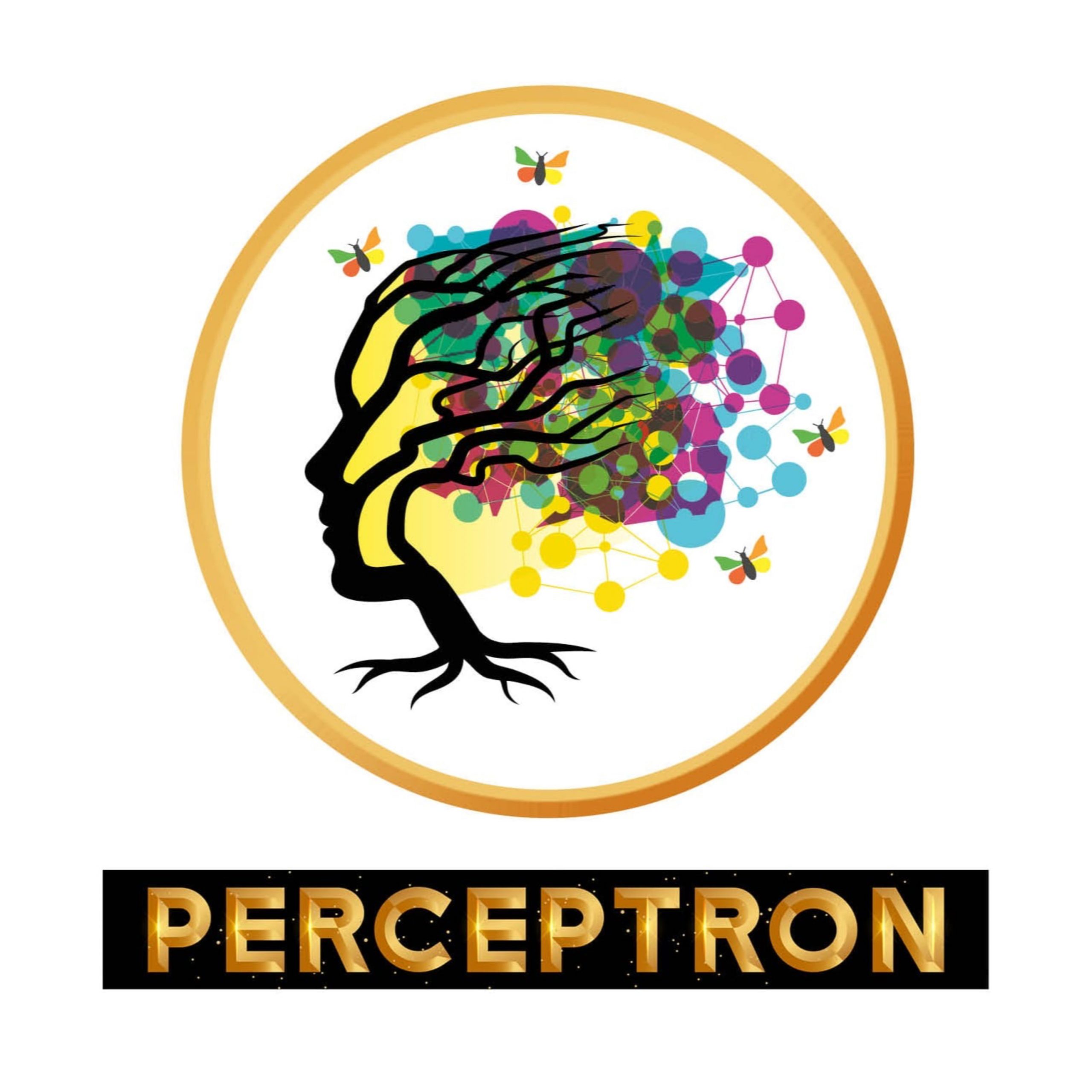 Perceptron Interview with CEO and host